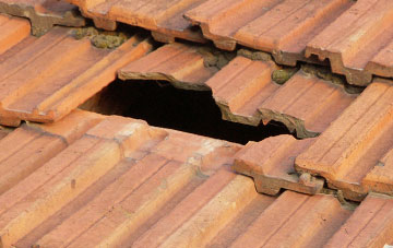roof repair Todhills